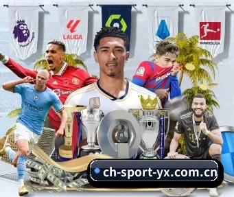 全球扩展 - 全球化战略取得重大进展,千万用户共同见证亚新成长。